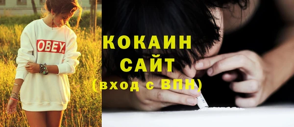 мдпв Богородицк