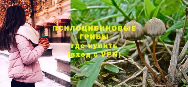 MDMA Premium VHQ Белокуриха
