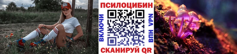 Галлюциногенные грибы Magic Shrooms  сколько стоит  Борисоглебск 