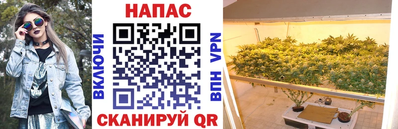 где купить   Борисоглебск  Марихуана MAZAR 